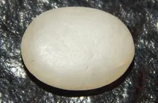 DSCN8012.webp