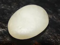 DSCN8023.webp