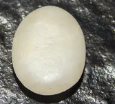 DSCN8024.webp