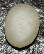 DSCN8025.webp