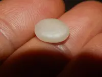 DSCN8026.webp