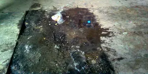Image0643-rjrgraphercrop2.webp