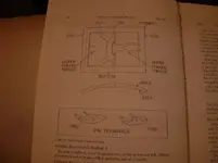 Shoe buckles.webp