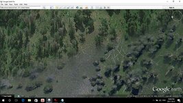 Yellowstone burn area.jpg