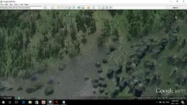 Yellowstone burn area.webp