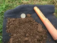 Worlds Fair Token - In the Hole.webp Worlds Fair Token - In the Hole.webp