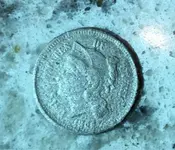 ImageUploadedByTreasureNet.com1508721427.388434.webp