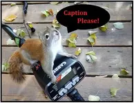 buddy2 caption.webp
