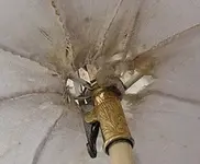 Parasol.webp Parasol.webp