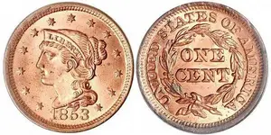 braided-hair-large-cent.webp