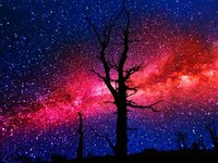 Milky Way in Bryce Canyon, Utah.jpg