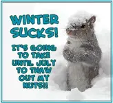 d0475b796ad92fde885d4e173c32cecc--funny-pics-funny-shit.webp