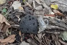 Amboy City Park Trash Hunt 002.webp