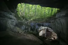 c7c184da0b7f50115250223518a5a375.webp