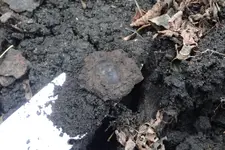 Amboy City Park Trash Hunt 009.webp