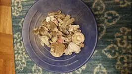 20171204_185911.webp