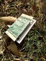 dollar.webp