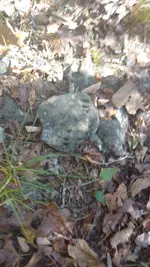 IMG_20171018_135754460.webp