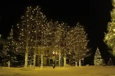 12-5c.webp
