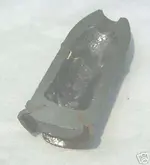 shell_halfsection_Read_3inch_sawedhalf_4b_1.webp