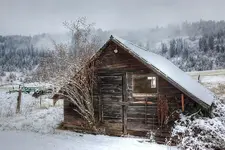 01111111111.webp