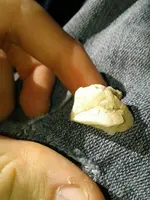 20171214_113527.webp