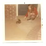 patsquirrel 001.webp