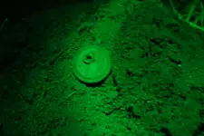 PTSD Hunt Melvin's CW Button Hole 003.webp