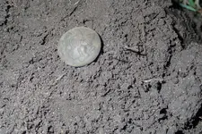 PTSD Hunt Melvin's CW Button Hole 001.webp