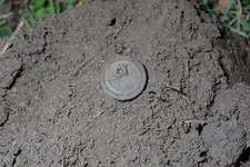 PTSD Hunt Melvin's CW Button Hole 004.webp