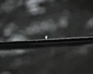sleet.webp