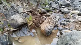 1510772998486.webp