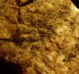 IMG_20171214_181837.webp