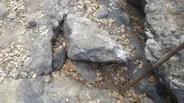 1510773047951.webp