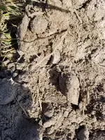 20171115_142110.webp 20171115_142110.webp