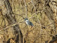 bike ride 111517 1.webp