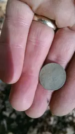 IMAG1764.webp
