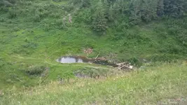 IMG_20170615_184441.webp