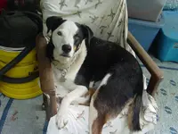 DSC00001.webp