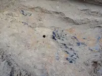 DSCN3995.webp