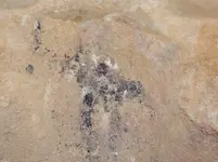 DSCN4027.webp