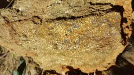 20171128_135958.webp 20171128_135958.webp