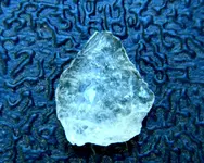 DSCN2222.webp
