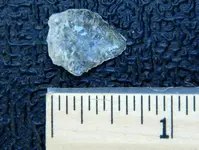DSCN2225.webp