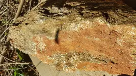 20171128_141034.webp 20171128_141034.webp