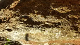20171128_141043.webp 20171128_141043.webp
