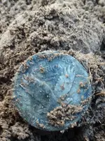 20171125_110005.webp