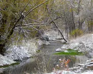 walk 100817 1.webp