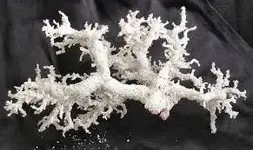 Fulgurite.webp