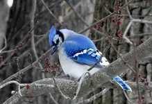 DSCN5850.webp
